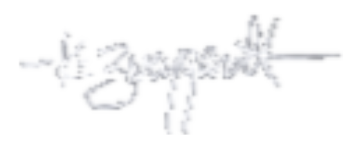 The Art of Kary Zweygardt